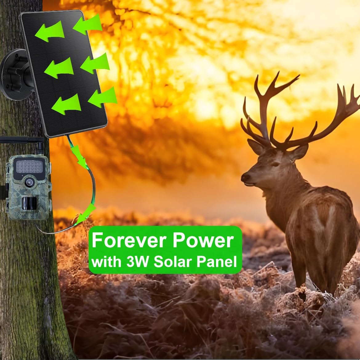 Zonkasion Solar Panel with 10ft cable enables flexible camera placement