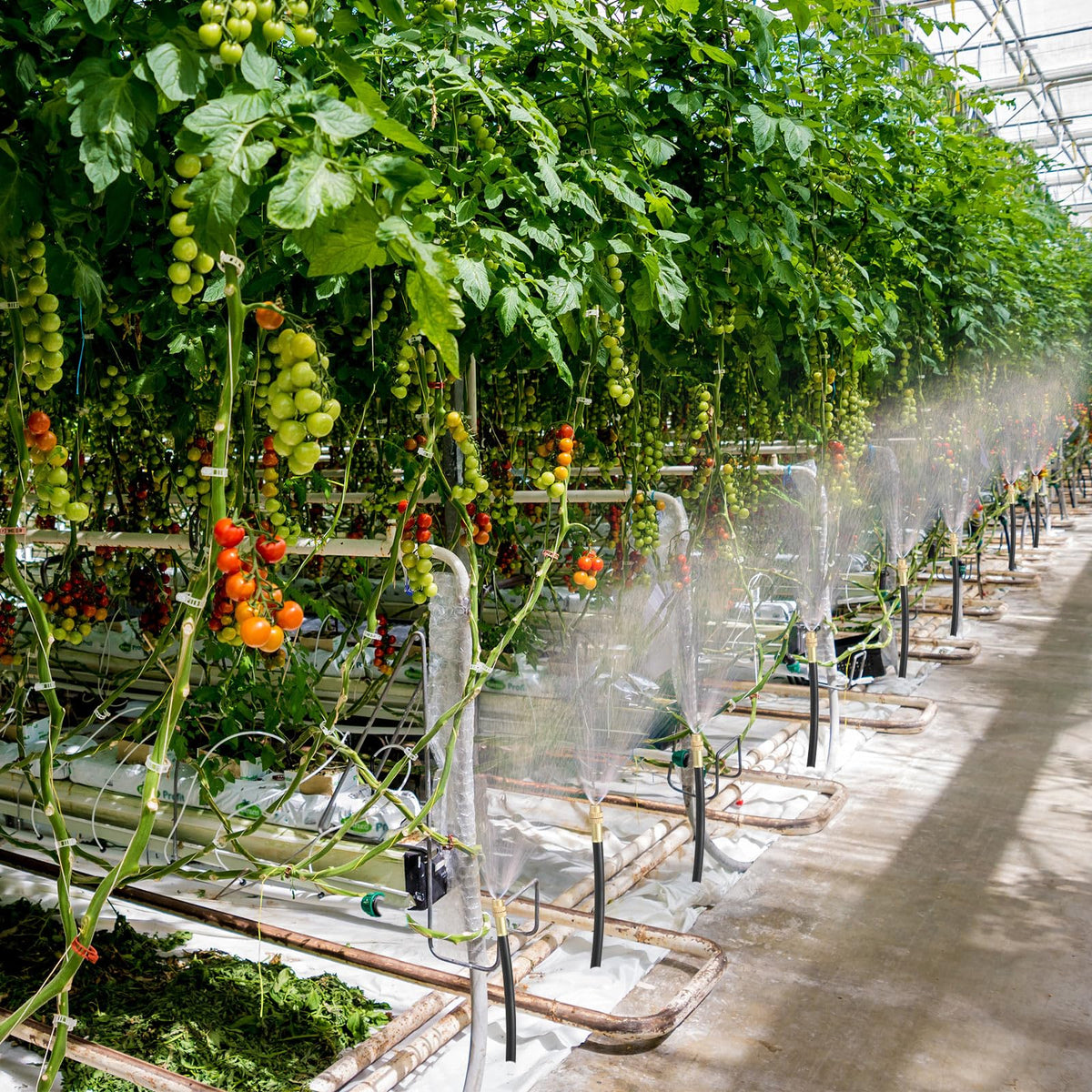 Zonon adjustable flow nozzle to customize mist output for comfort.
