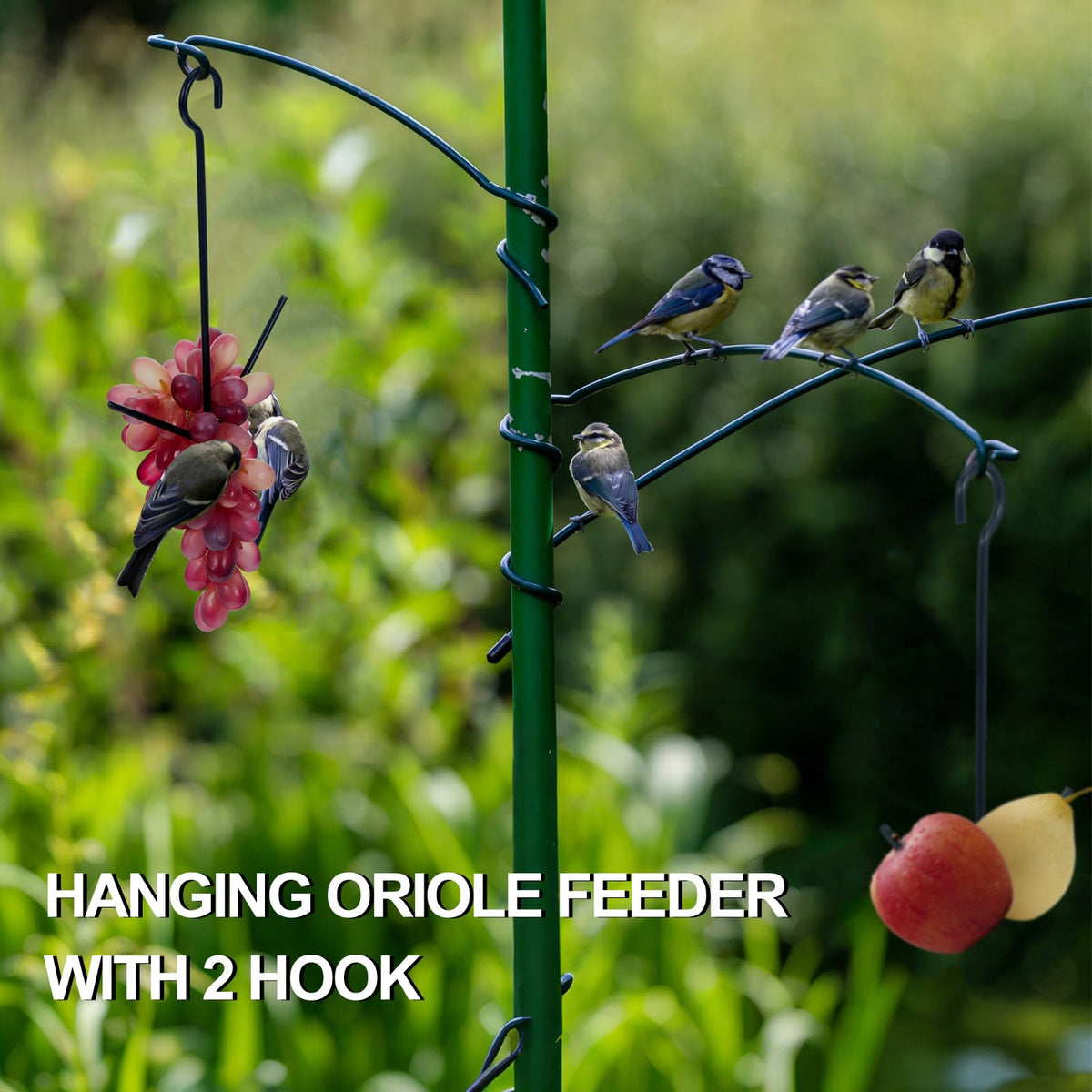 Zonon fruit jelly feeder with two-prong design for versatile feeding