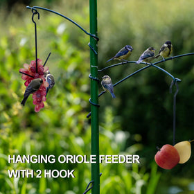 Zonon fruit jelly feeder with two-prong design for versatile feeding