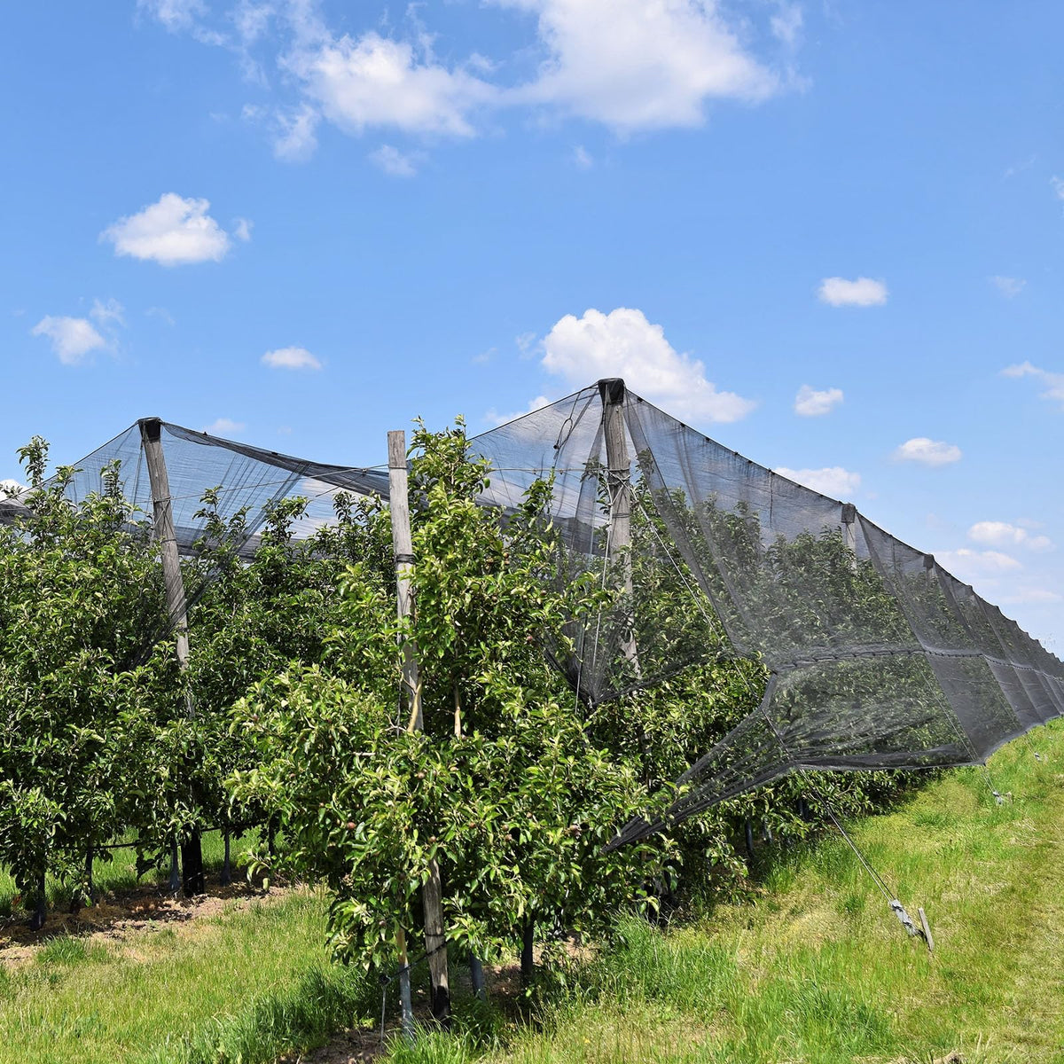 Easy installation with stones, clips, or stakes to secure the netting.