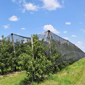 Easy installation with stones, clips, or stakes to secure the netting.