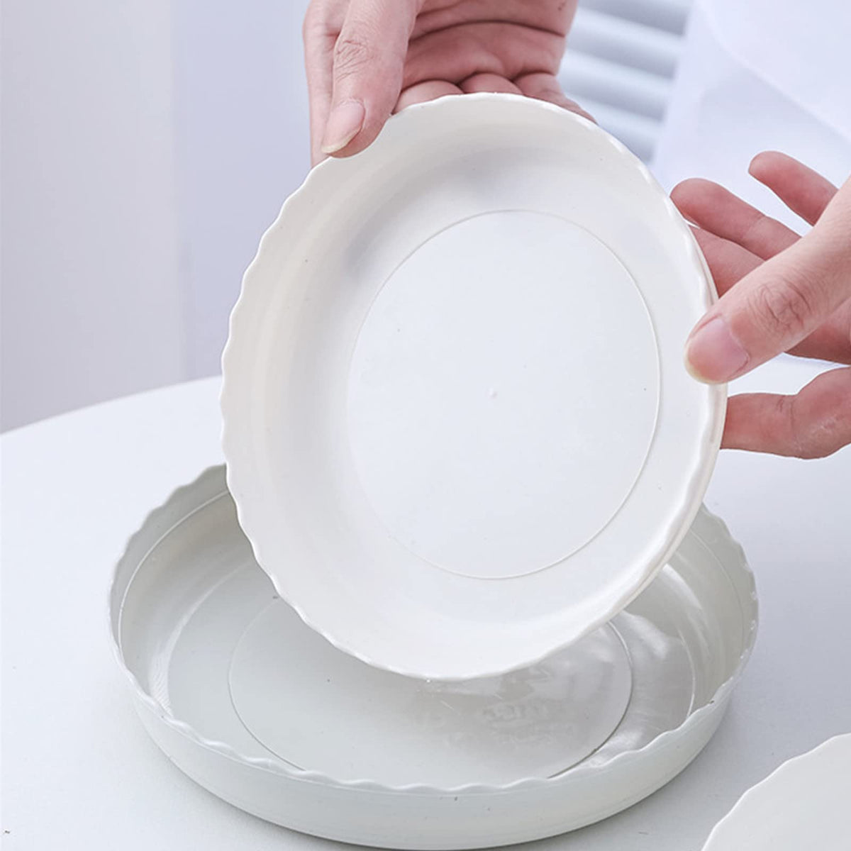 ZOOFOX 24-pack display showing complete set for multiple pot sizes.