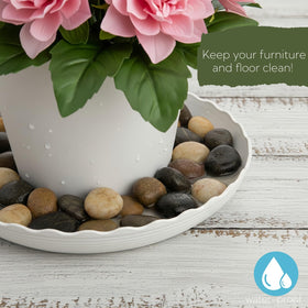ZOOFOX Wave Saucer 10-inch front view captures drainage and soil spills.