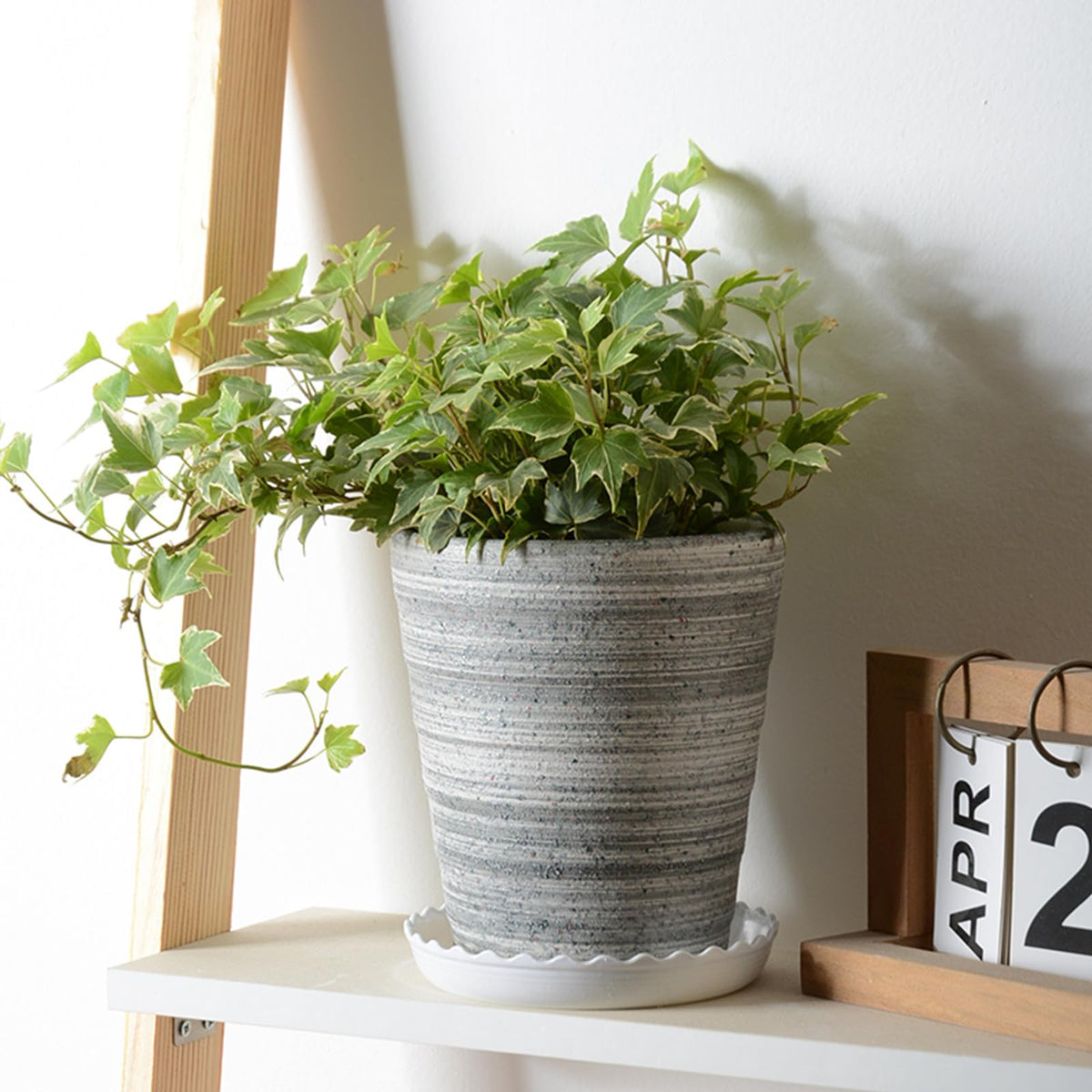 ZOOFOX Wave Saucer 12-inch front view protects floors around large pots.
