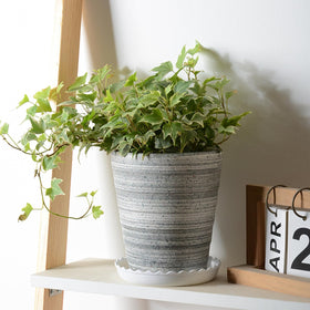 ZOOFOX Wave Saucer 12-inch front view protects floors around large pots.