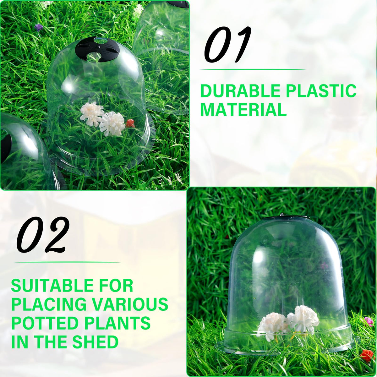 Zopeal clear plastic dome acts as a mini greenhouse for starters