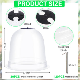 Zopeal garden cloche with 80 pegs protects young plants from cold