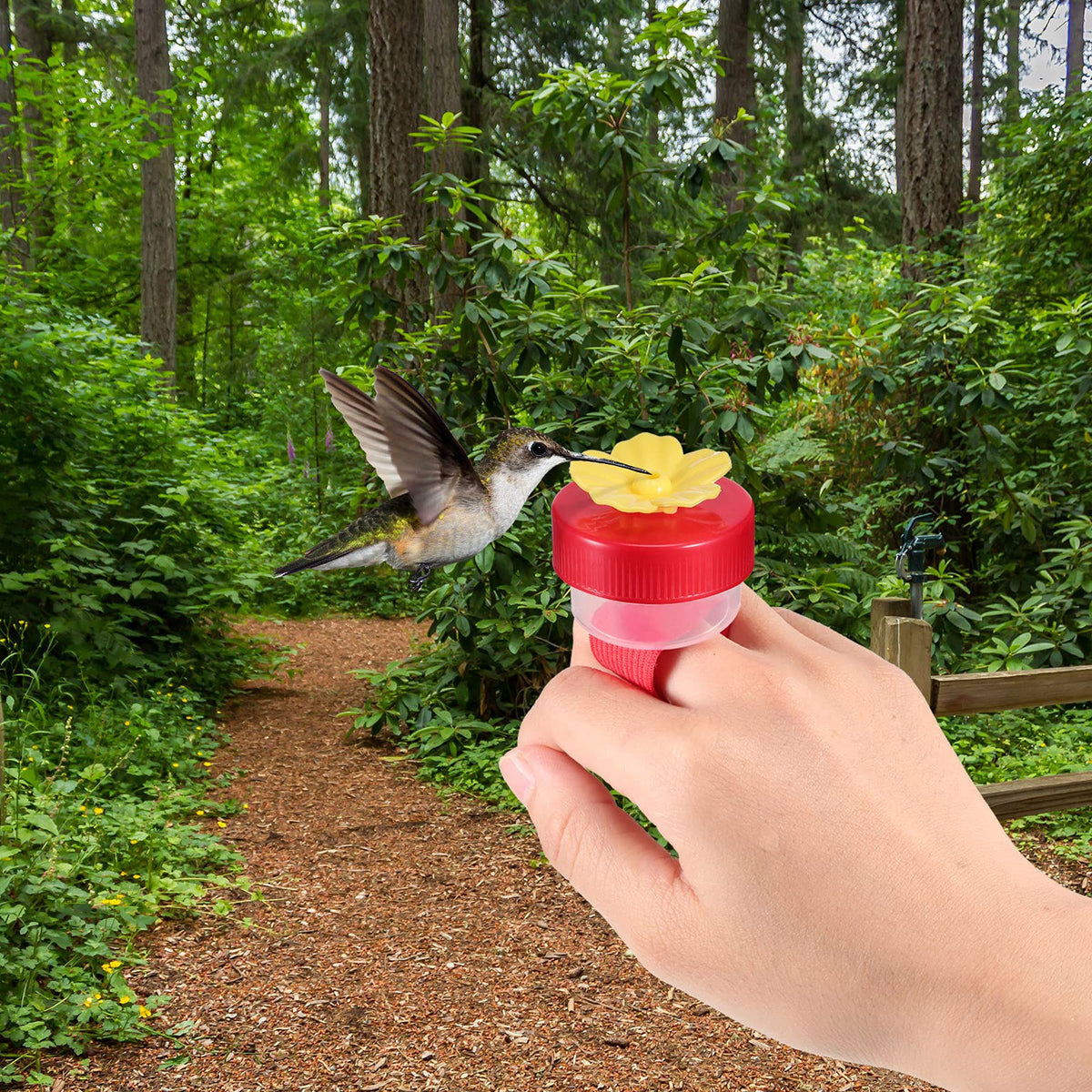 Zopeal colorful set attracts hummingbirds with bright hues