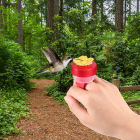 Zopeal colorful set attracts hummingbirds with bright hues