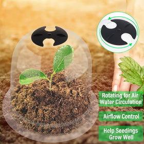 Zopeal plastic mini greenhouse dome for seedling protection