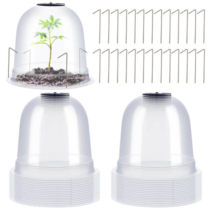 Zopeal small humidity dome enhances warmth and moisture for seedlings