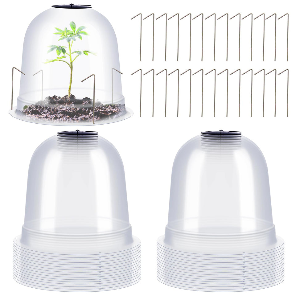 Zopeal small humidity dome enhances warmth and moisture for seedlings