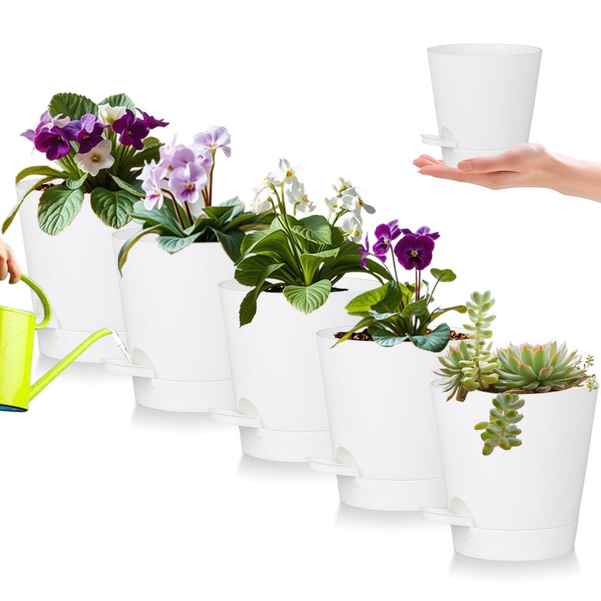 Zople 5-inch self-watering pot with African violet design for easy moisture management.