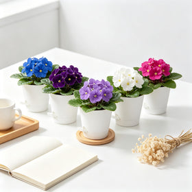 Zople 5-inch self-watering pot is lightweight and easy to move.