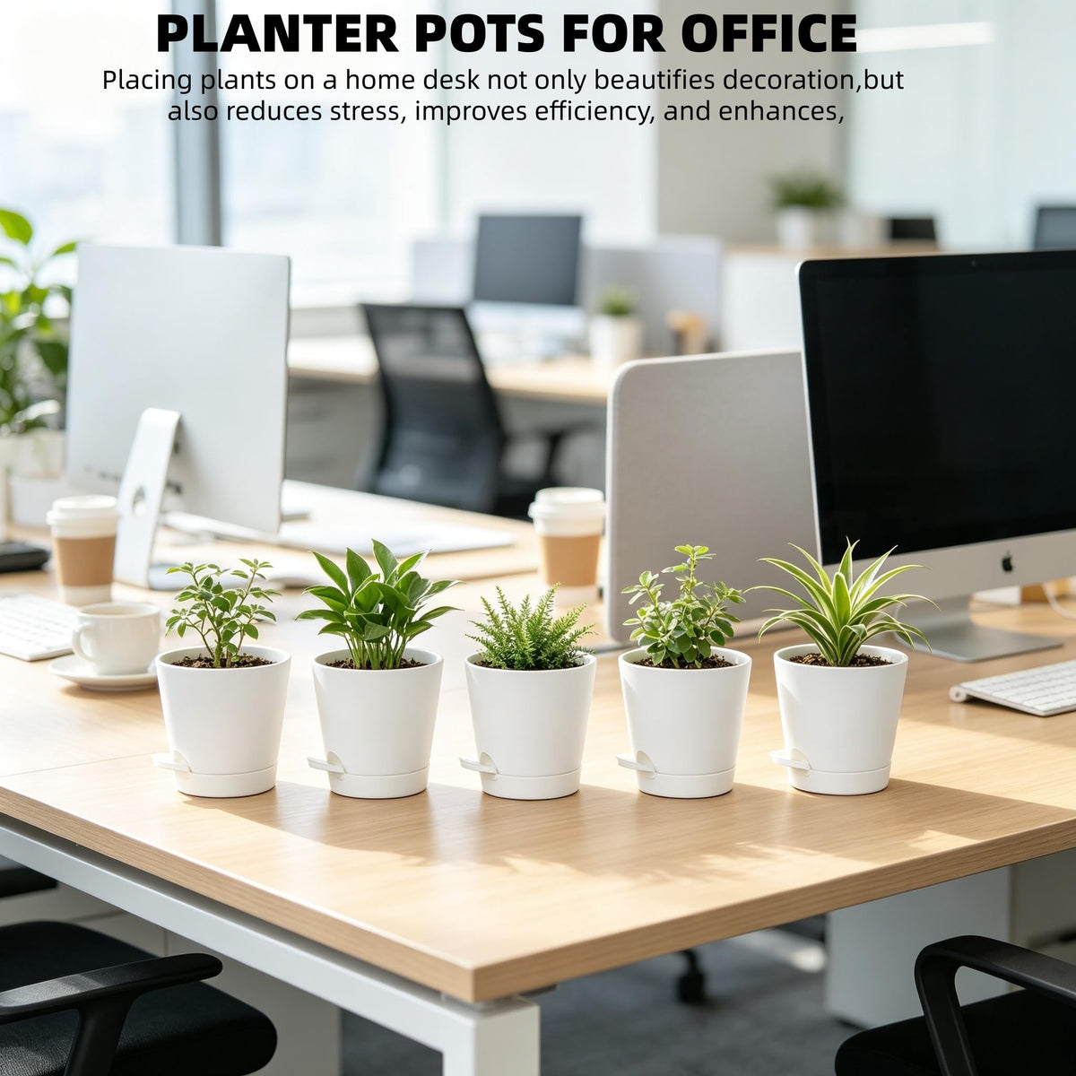 Zople 5-inch pot with reservoir tray enabling bottom watering.