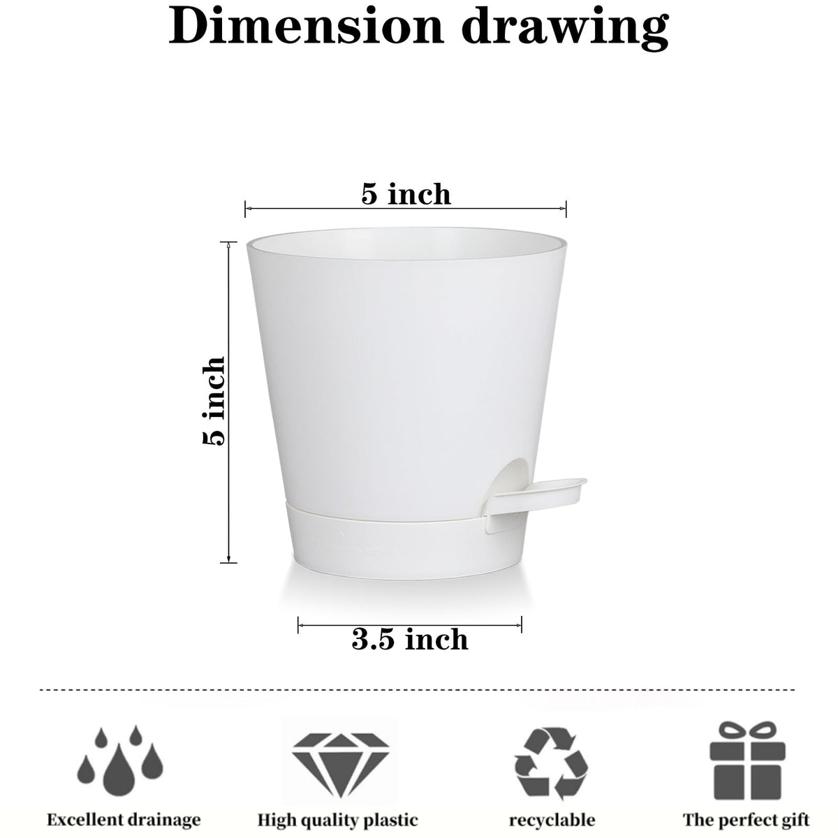 Zople 5-inch self-watering pot for succulents with balanced drainage.