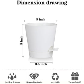 Zople 5-inch self-watering pot for succulents with balanced drainage.
