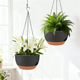 Zople 8-inch self-watering planter designed for ferns in living spaces