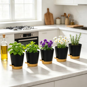 zople african violet and succulent pots for versatile indoor gardening