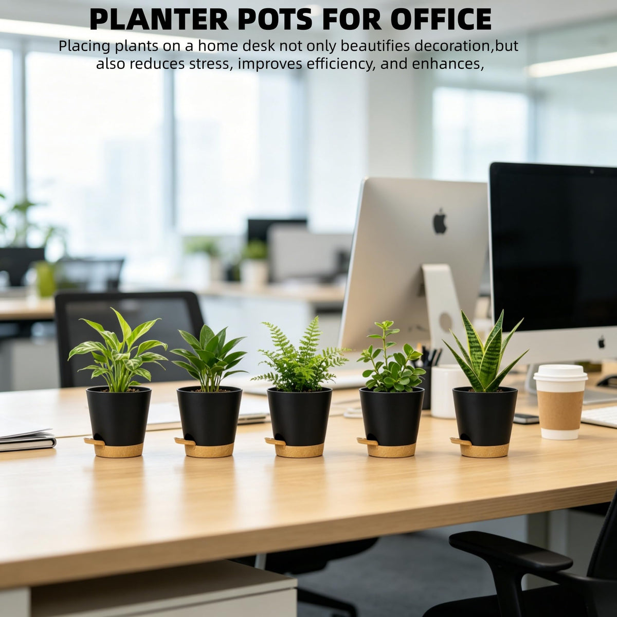 zople pots with multiple drainage holes promote air circulation