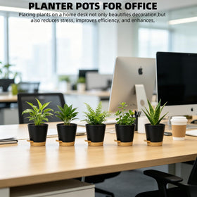 zople pots with multiple drainage holes promote air circulation
