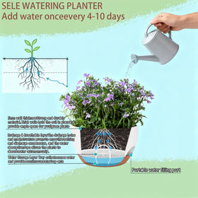 Zople easy-move set offers versatile hanging plant placement