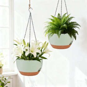 Zople indoor-outdoor planter suitable for ivy, pothos, and other greenery.