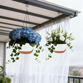 Zople ideal for ivy, pothos, and ferns in small spaces