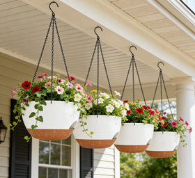 Zople minimalist design highlights versatile placement for ivy and pothos.