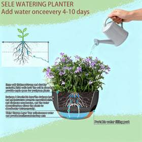 Zople multi-purpose planter set ideal for living rooms and patios