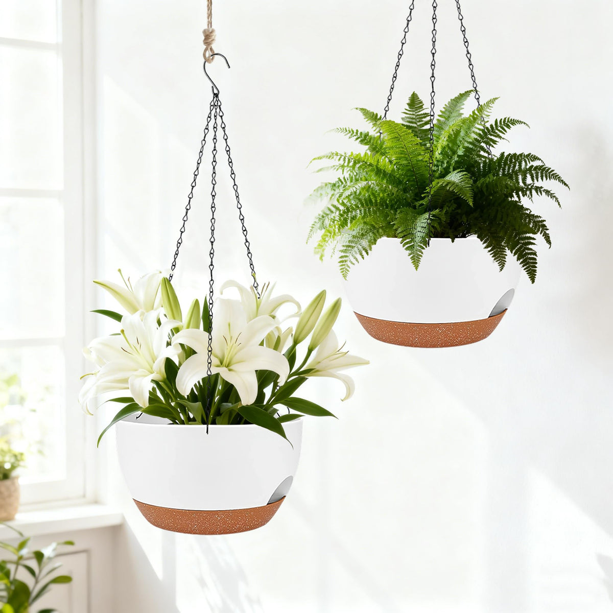 Zople reusable removable tray demonstrates tidy indoor balcony display.
