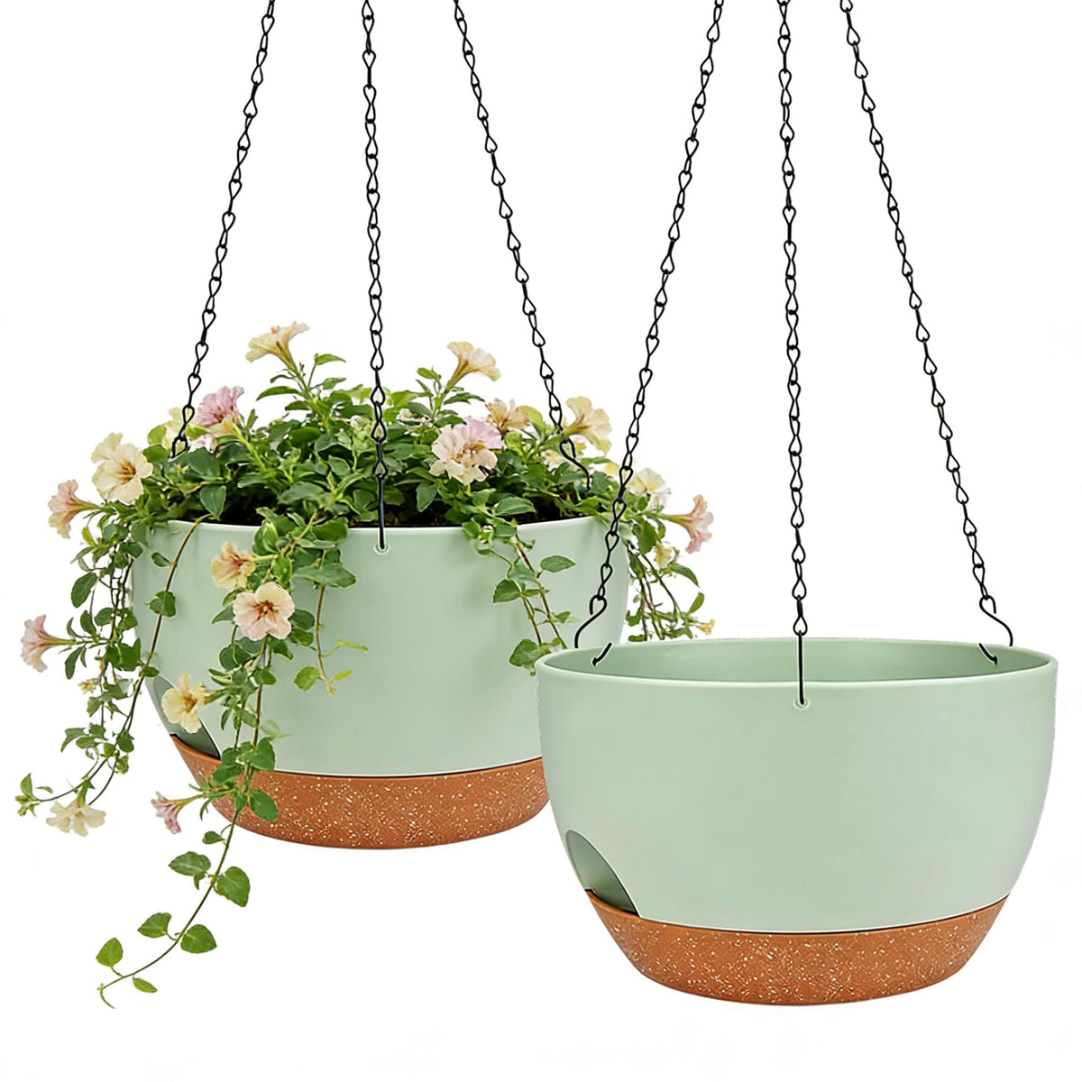 Zople self-watering hanging planter with 8-inch size and built-in water tank.