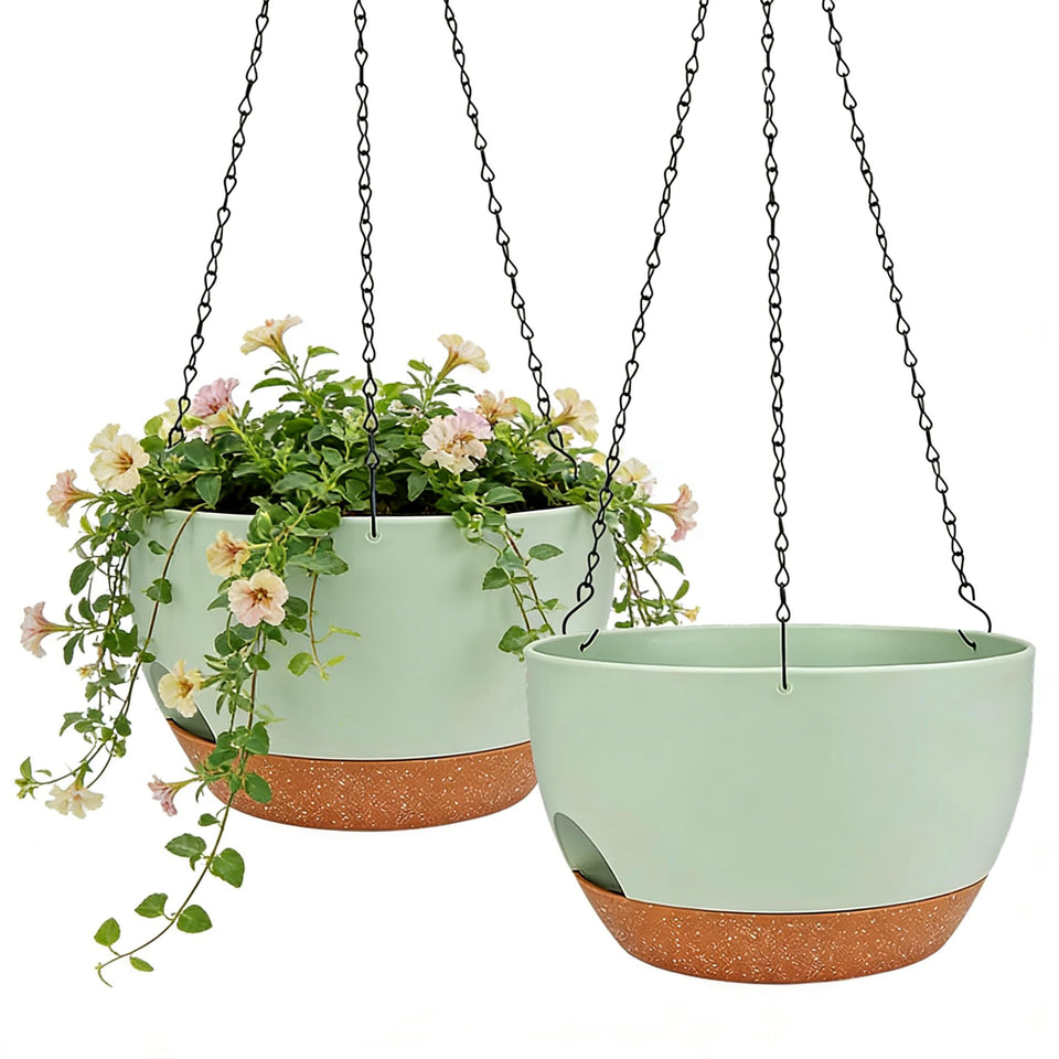 Zople self-watering hanging planter with 8-inch size and built-in water tank.