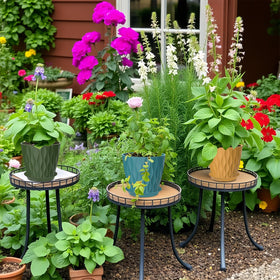 Perfect for succulents, herbs, and small plants in Zople 5-inch pots.