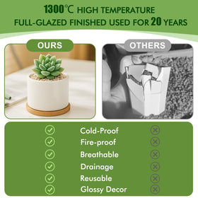 ZOUTOG ceramic pot fired at high temperature for durability and a clean look