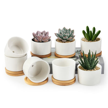 ZOUTOG succulent pots 8-pack with bamboo tray for tidy indoor greenery