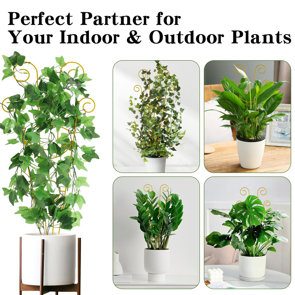 ZOUTOG trellis ideal for jasmine, honeysuckle, wisteria, and other climbers.