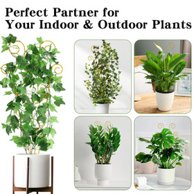 ZOUTOG trellis ideal for jasmine, honeysuckle, wisteria, and other climbers.