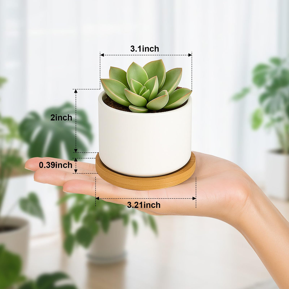 ZOUTOG white ceramic succulent pot 3.1-inch for compact desks and shelves