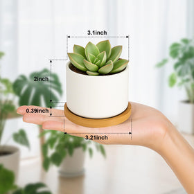 ZOUTOG white ceramic succulent pot 3.1-inch for compact desks and shelves