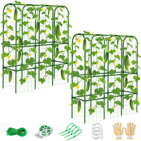ZPMOCKAQ 2-pack 62in cucumber trellis supports tall vines and boosts garden organization