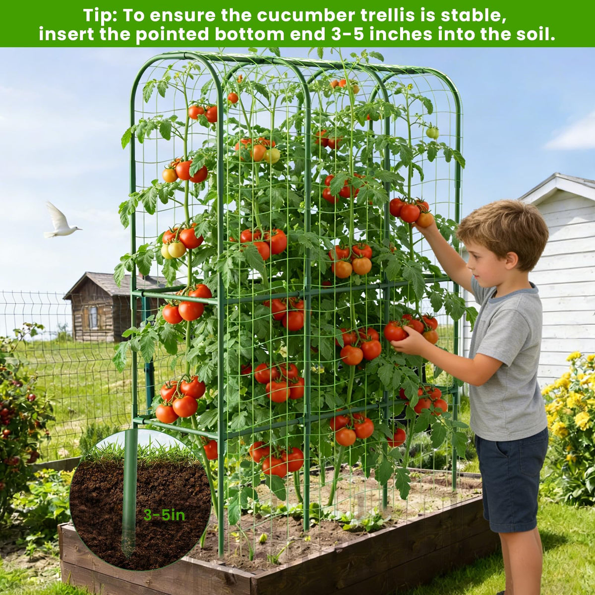 ZPMOCKAQ plastic-coated steel core makes this trellis durable and rust-resistant