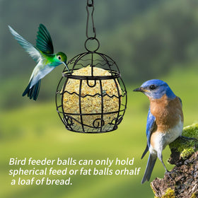 ZQZXD easy-clean surface prevents suet residue buildup for quick maintenance.