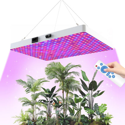 ZRYBOMY remote-control LED grow light over seedling bench delivering efficient 100W growth