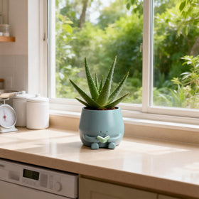 Blue smile design adds charm to shelves and spaces.
