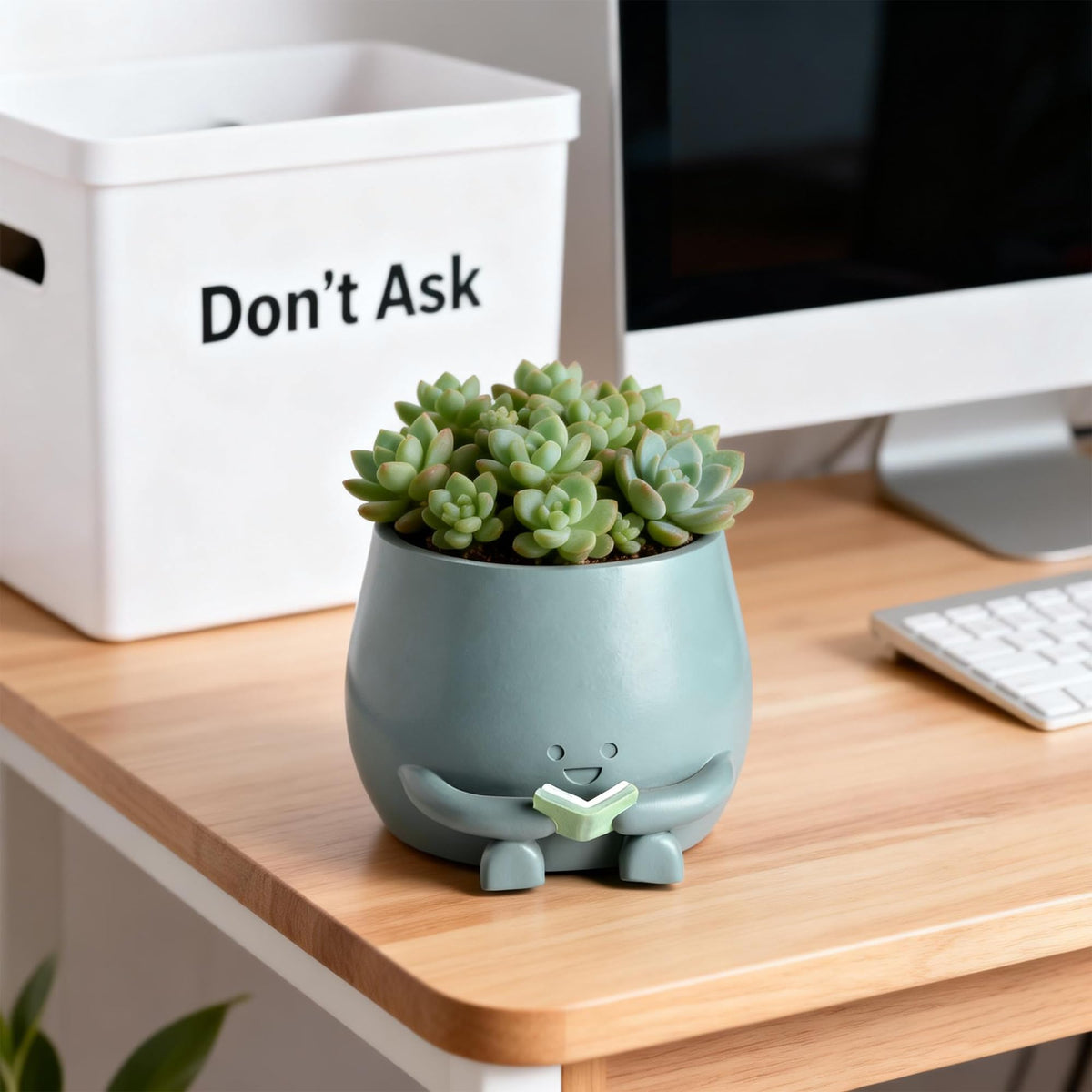 Compact planter dimensions suitable for desktops and shelves.