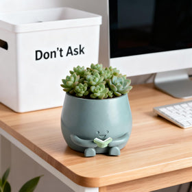 Compact planter dimensions suitable for desktops and shelves.