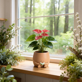 ZSHAWN Small desk plant prop adds personality to workspace.