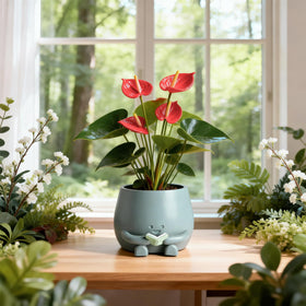 Ideal gift idea for book lovers and plant enthusiasts.